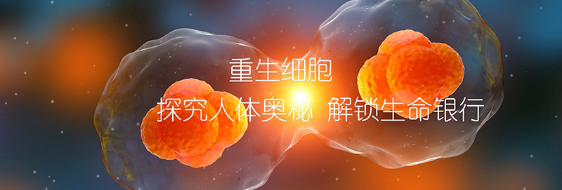 糖尿病患者非药物治疗新理念，更有利于改善胰岛β细胞的功能，改善健康生活
